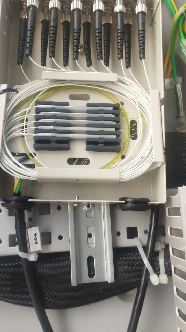 DIO aberto com fibras organizadas